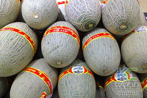 無土栽培，無土栽培技術，無土栽培設備