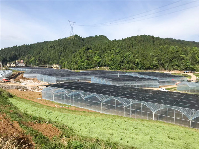 無土栽培，無土栽培技術，無土栽培設備