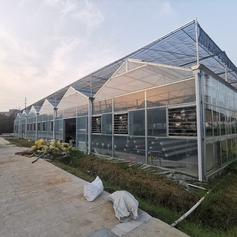 無土栽培，無土栽培技術，無土栽培設備