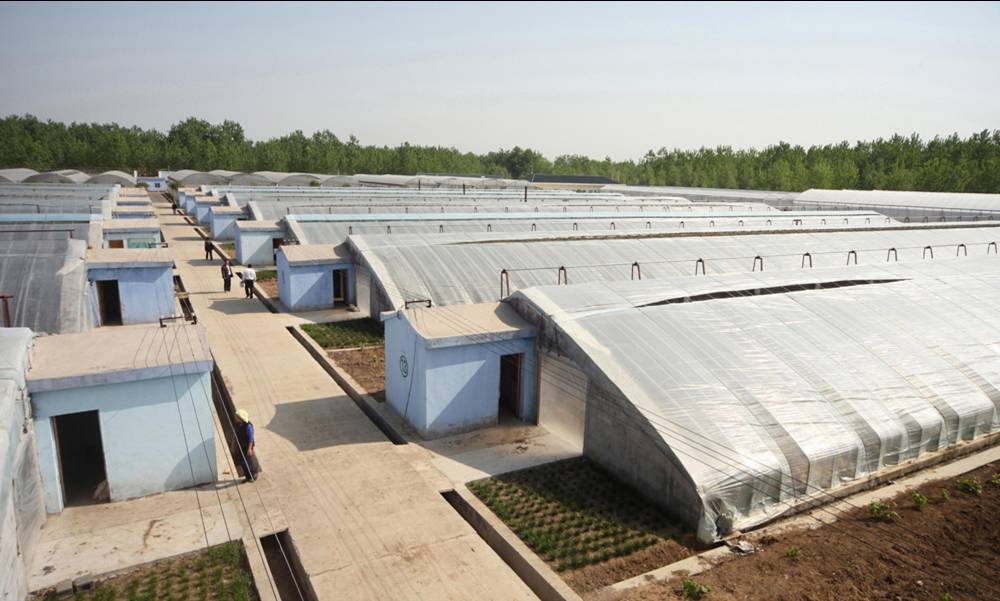 無土栽培，無土栽培技術，無土栽培設備