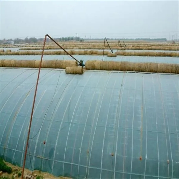 無土栽培，無土栽培技術，無土栽培設備