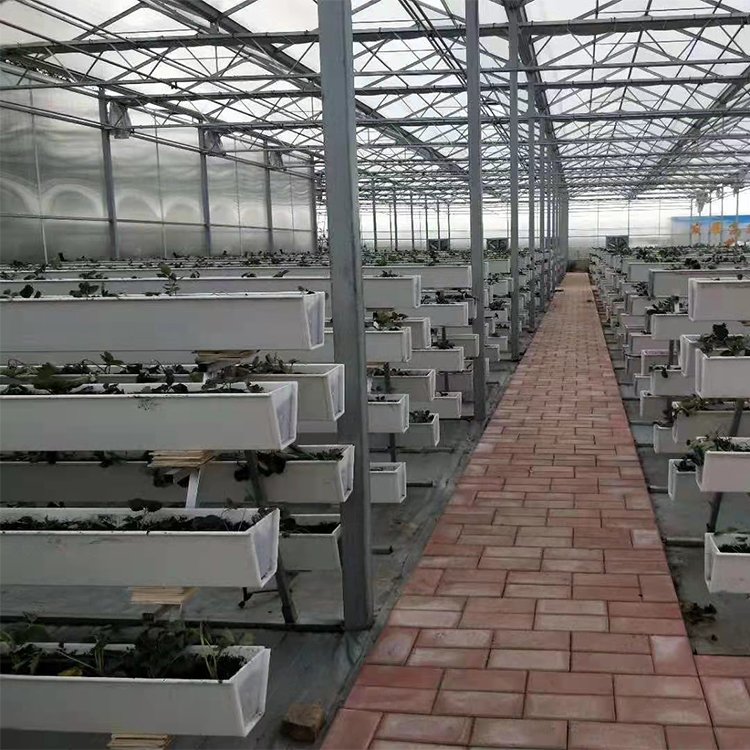 無土栽培，無土栽培技術，無土栽培設備