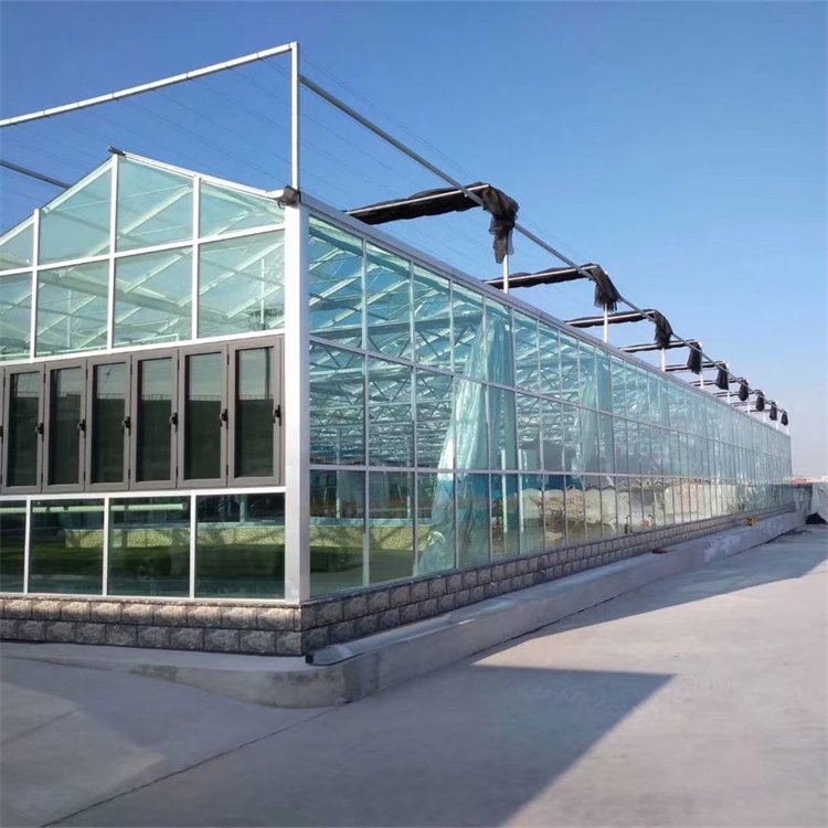 無土栽培，無土栽培技術，無土栽培設備