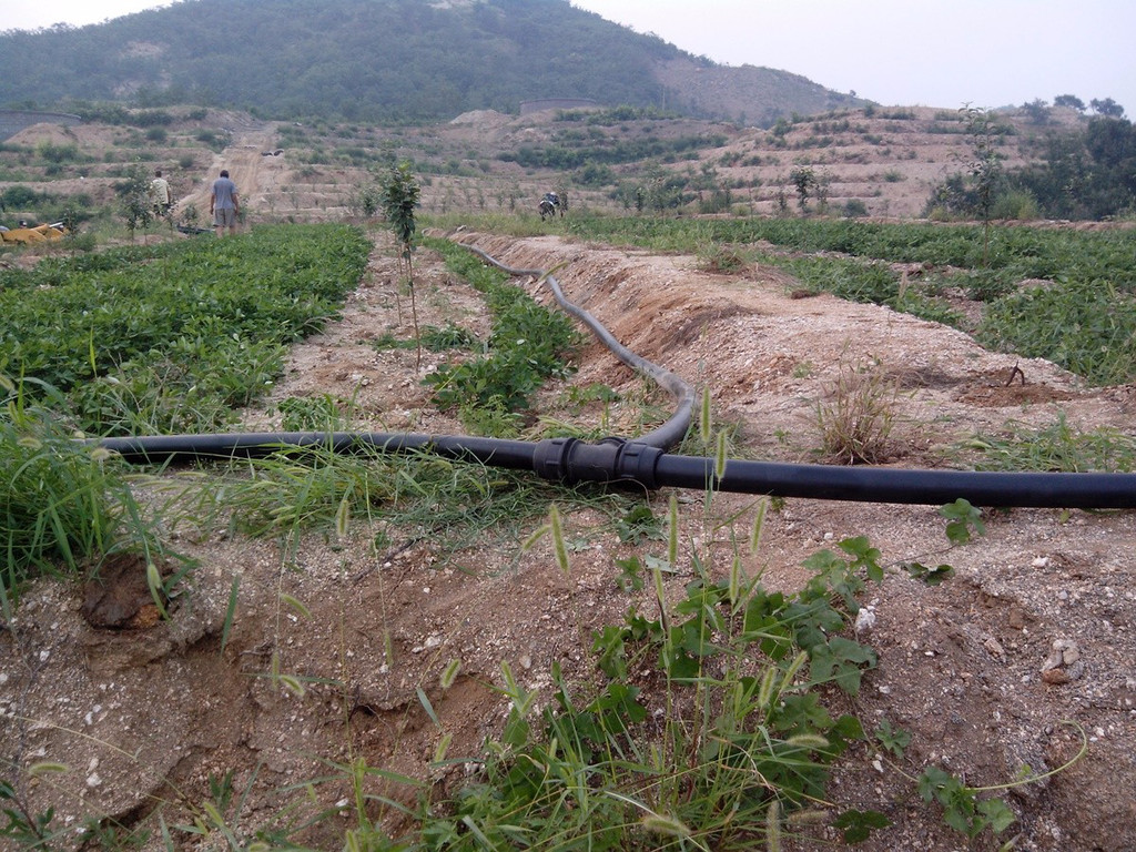無土栽培，無土栽培技術，無土栽培設備
